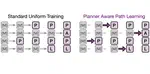 Planner Aware Path Learning in Diffusion Language Models Training